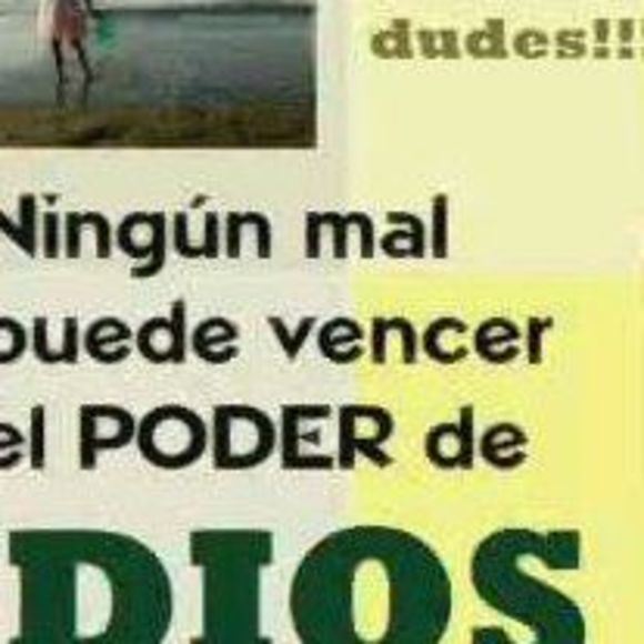 Meet your Posher, Ruben - Picture 1 of 1